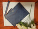 WRISTLET/ BLUE/RED